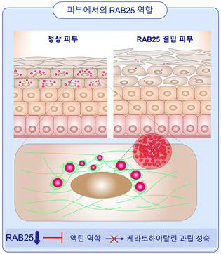 0893da3054982f64a96366a2e00e36a0_1668996057_79.jpg