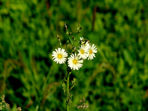b49a5d6d84af57dc471a15e999a20fe6_1742766734_1721.jpg