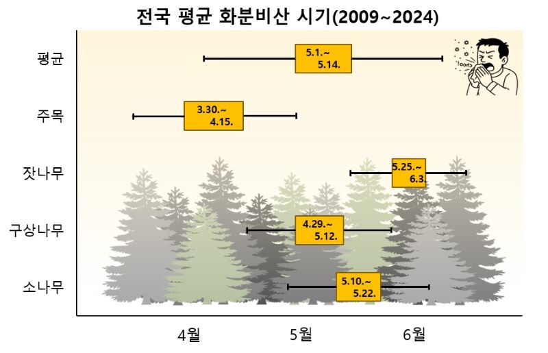 봄 불청객, 올 해 침엽수 ‘송화가루’ 비산 시기 빨라진다.