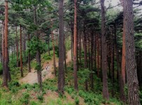  width: 100%; height : 150px
