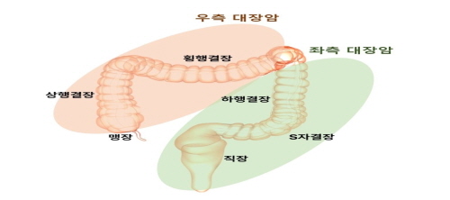 5258bde06ffd4e716dcc4f0bdac2cf21_1754257440_5146.jpg