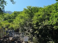  width: 100%; height : 150px